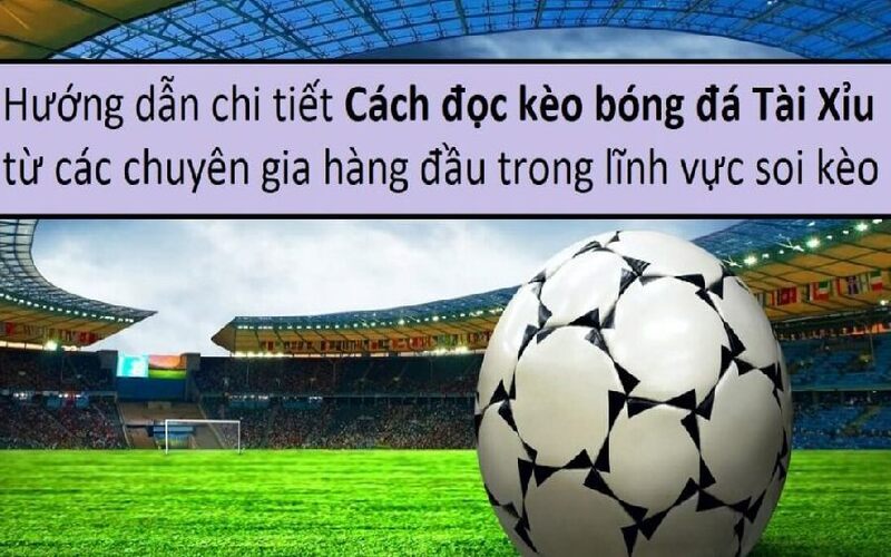 Cùng tìm hiểu về kèo tài xỉu 2.75