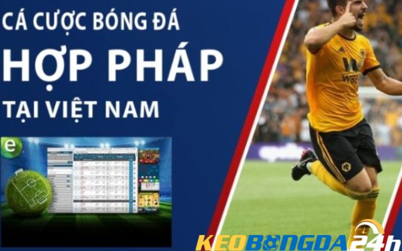 Luật cá độ bóng đá hợp pháp 