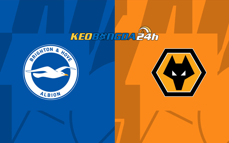 Soi kèo trận đấu Brighton vs Wolves 2h45 23/1/2024 | Ngoại Hạng Anh